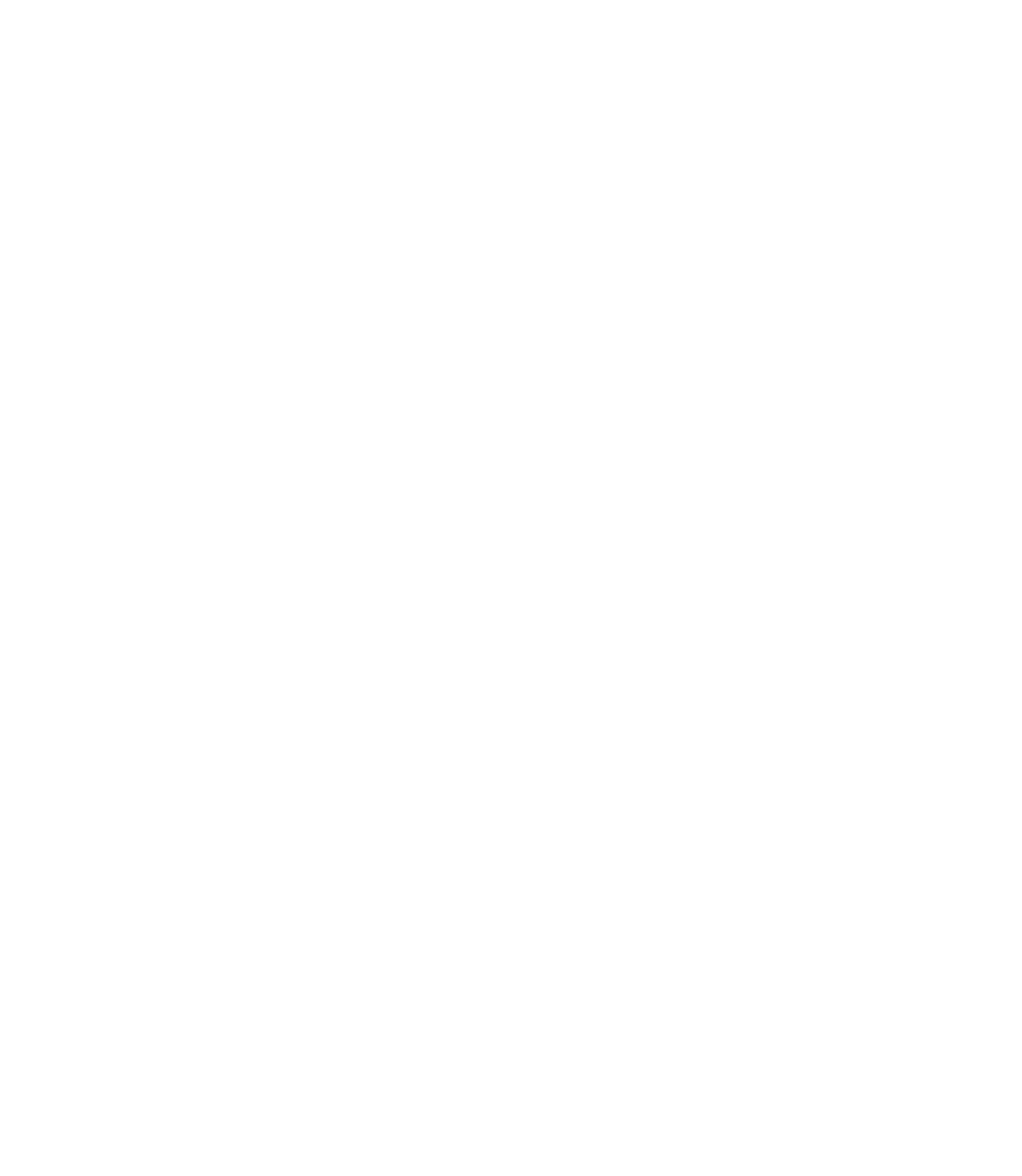 My Spider