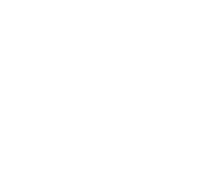 امنیت دوربین تحت شبکه